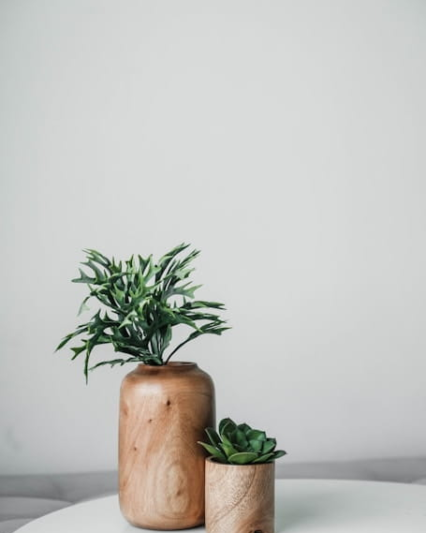 Wooden Planter Set
